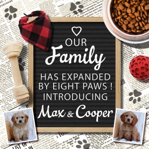 Two Puppies Announcement for Social Media, 2 Pets Announcement, Our Family Has Expanded by Eight Paws, Digital Dogs Announcement