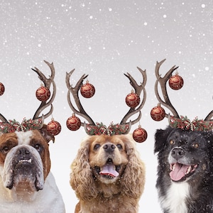 Multiple Pet Portrait, Custom 3 Pet Reindeer Portrait from Photo, Custom Dog Art, Custom Cat Art Christmas Gift for Pet Lovers Holiday Decor