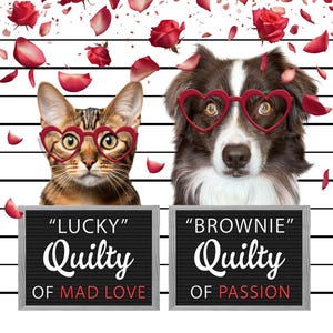 Puede incluir: Un gato atigrado marrón con gafas en forma de corazón y un cartel negro que dice "LUCKY" Quilty of Mad Love. Un border collie marrón y blanco con gafas en forma de corazón y un cartel negro que dice "BROWNIE" Quilty of Passion. Ambos animales están sobre un fondo blanco con pétalos de rosa roja cayendo a su alrededor.