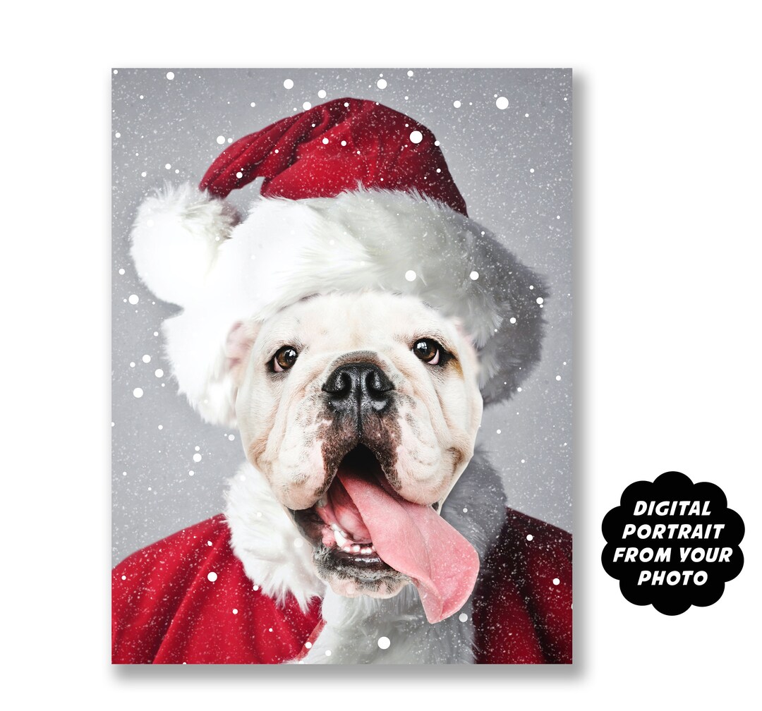 Your Pet as Santa Claus, Pet Portrait From Photo, Digital Christmas