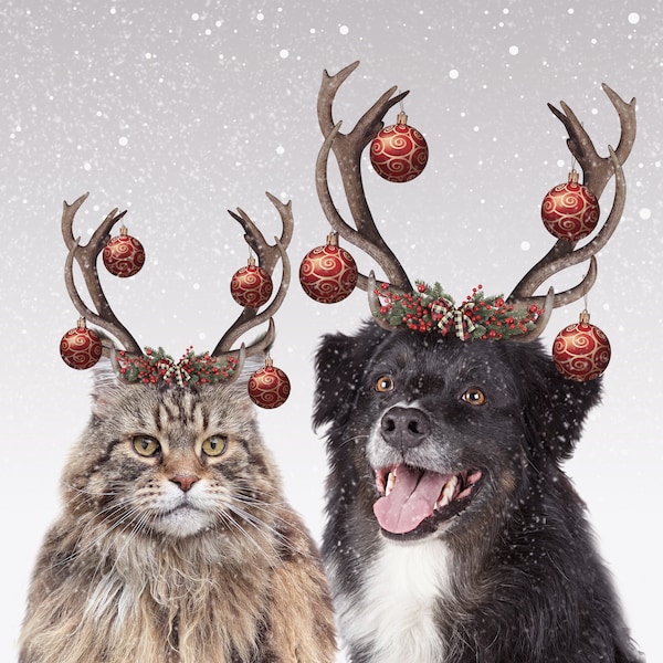 Multiple Pet Portrait, Custom 2 Pet Reindeer Portrait from Photo, Custom Dog Art, Custom Cat Art Christmas Gift for Pet Lovers Holiday Decor