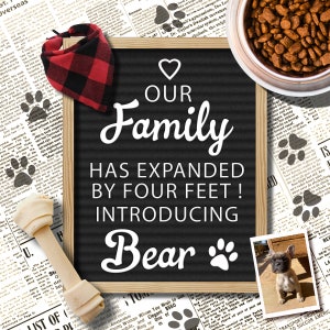 Dog Announcement for Social Media, Personalized File, Our Family Has Expanded by Four Feet, New Family Member Letter Board Announcement