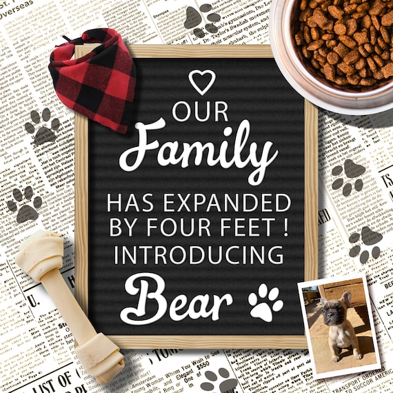 Dog Announcement for Social Media, Personalized File, Our Family Has Expanded by Four Feet, New Family Member Letter Board Announcement Il_570xn