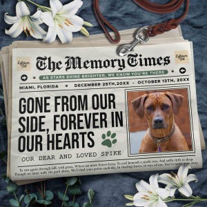 Puede incluir: Un periódico conmemorativo, "The Memory Times", con el titular "Gone From Our Side, Forever In Our Hearts". Presenta una foto de un perro, una huella de pata y las fechas 25 de diciembre de 20XX - 13 de octubre de 20XX. Incluye una correa de cuero y lirios blancos.