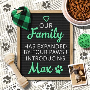 St. Patrick&#39;s Day Dog Announcement for Social Media, Irish New Puppy, Our Family Has Expanded by Four Paws, Digital St Patrick Announcement