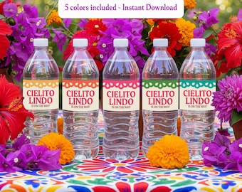 Cielito Lindo Water Bottle Labels Bundle, 5 Colors Included, Baby Shower Printable Stickers, Mexican Talavera Party Decorations