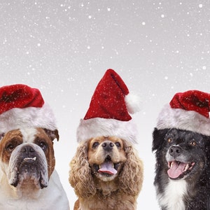 Christmas Three Pets Portrait from Photo, Multiple Pet Portrait, Your Pet as Santa Claus, Christmas Gift for Pet Lovers, Holiday Decor