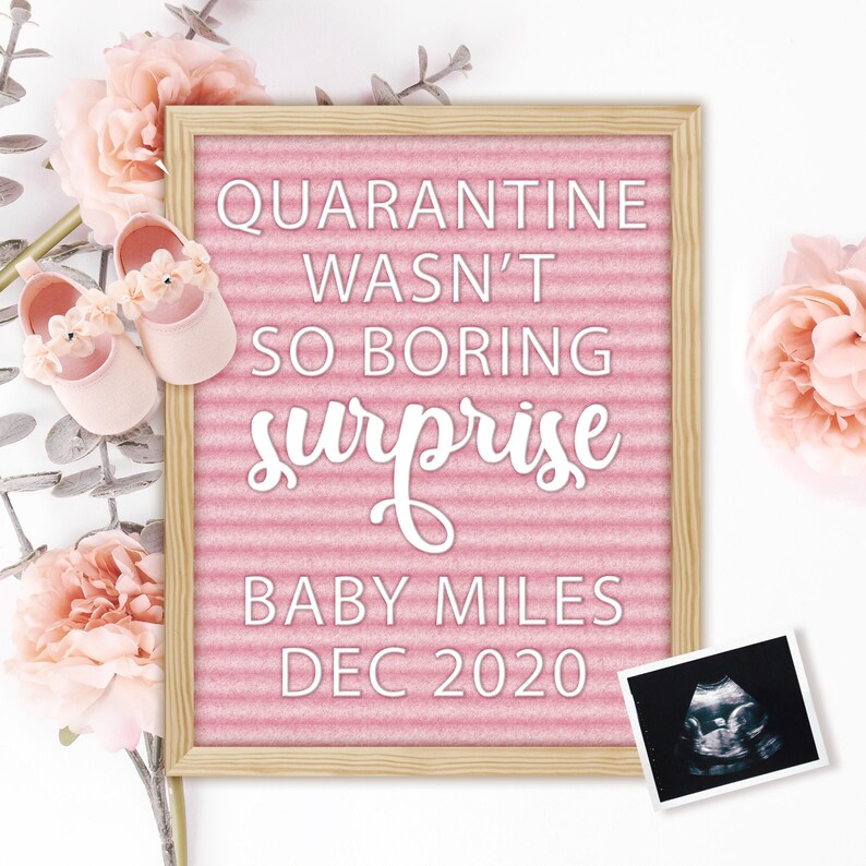 Download Quarantine Baby Announcement for Social Media Pregnancy | Etsy