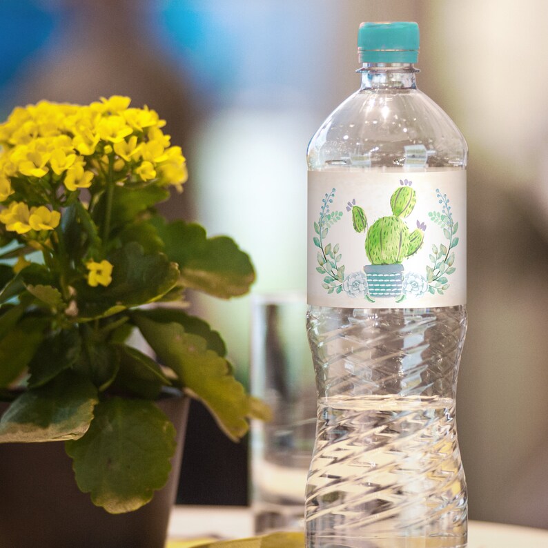 Cactus Water Bottle Labels INSTANT DOWNLOAD Fiesta Water Etsy