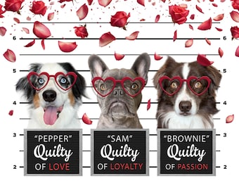 Valentijnsdag drie huisdieren portret van foto, meerdere huisdier portret, grappige aangepaste huisdier Mugshot portret, cadeau voor dierenliefhebbers, vakantie decor