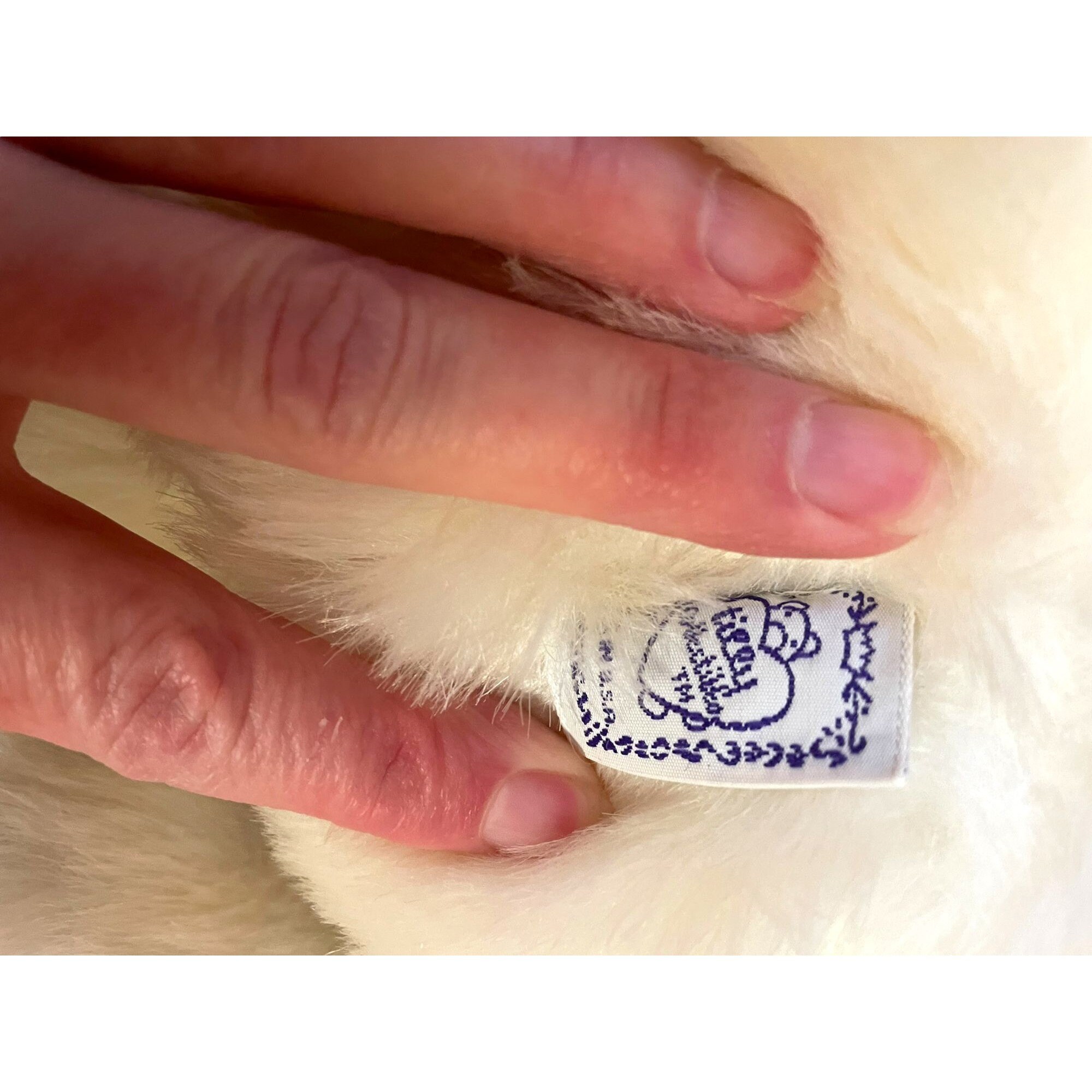 Tilly Collectible Plush Bunny Rabbit - Etsy