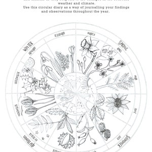 Digital Downloadable Phenology Nature Wheel by Nicki Bradwellq