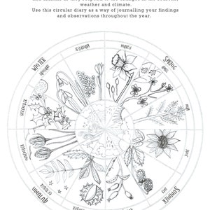 Phenology Nature Wheel by Nicki Bradwell