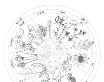 Digital Downloadable Phenology Nature Wheel by Nicki Bradwellq