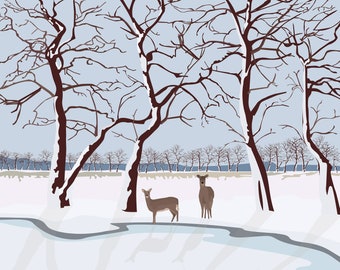 Winter Deer - Vermont -  11x14 Print