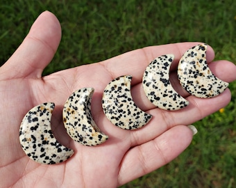 Dalmatian Jasper moon