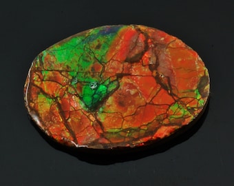 Ammolite / Ammonite Fossil Cabochon, 1.31" x 0.97" x 0.13",  weight: 6.1 grams / 30.5 ct.
