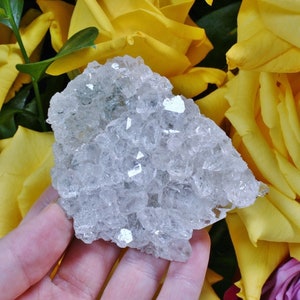 Himalayan Quartz Cluster with Chlorite - Himalayan Mountains