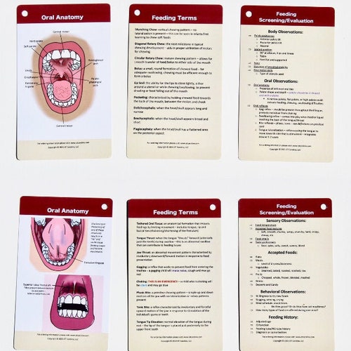 Pediatric Pocket Guide for Occupational Therapists / OT Pocket Etsy