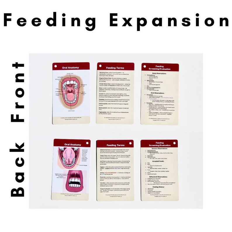 May include: Six flashcards with red borders and white text. The flashcards are divided into three categories: Oral Anatomy, Feeding Terms, and Feeding Screening/Evaluation. The Oral Anatomy cards show a diagram of the mouth and throat. The Feeding Terms cards list various feeding terms. The Feeding Screening/Evaluation cards list various feeding screening and evaluation terms.