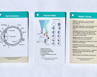 2nd Edition Vision Expansion / Pediatric Pocket Guide for Occupational Therapists