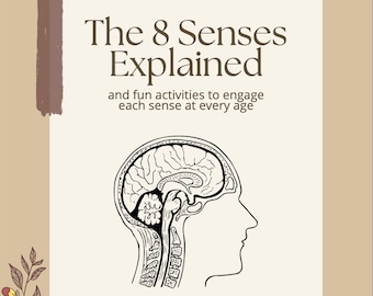 The 8 Senses Explained: And Fun Activities to Engage Each Sense at Any Age - E-BOOK