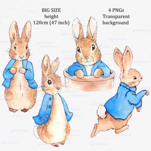 May include: Watercolor illustrations of Peter Rabbit in various poses. The rabbit is depicted in a blue jacket, with a height of 47 inches. The image includes the text "BIG SIZE height 120cm (47 inch)" and "4 PNGs Transparent background".