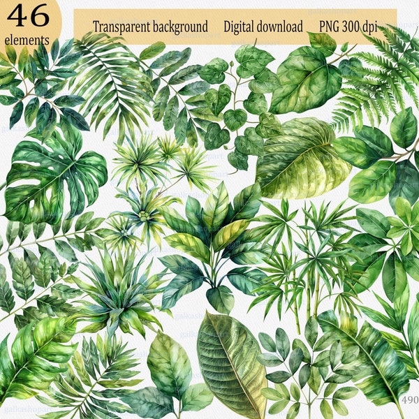 Watercolor Tropical Leaf PNG Clipart: Jungle greens Greenery graphics Palm tree Monstera Epiphyte Woody vine Fern Albizia bamboos Sugarcane