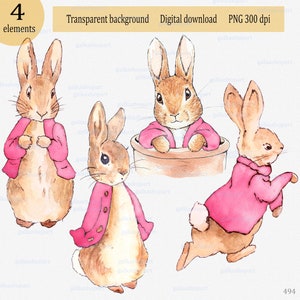 Peter Rabbit con chaqueta rosa para sublimación, clipart de acuarela PNG, ilustración de Beatrix Potter, decoración de Flopsy Bunny para fiesta de cumpleaños de niña