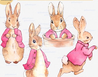 Peter Rabbit in pink jacket for sublimation, watercolor clipart PNG, Beatrix Potter illustration, Flopsy Bunny decor for girl birthday party