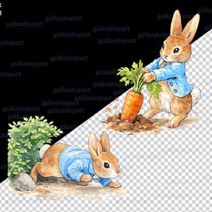 Peter Rabbit Clipart Bundle: 21 Watercolor Bunny Pngs, Storybook Garden ...