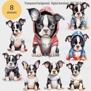 Niedlicher Boston Terrier im Kapuzenpullover ClipArt: Aquarell Baby Hund im T-Shirt, Haustier Illustration auf transparentem Hintergrund, 8er Set Digitalbild