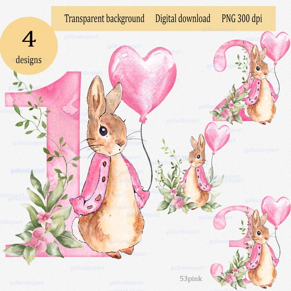 Peter Rabbit 1st 2nd 3rd Birthday Balloon & Greenery: PNG Clipart on Transparent bg, easter watercolor design for Sublimation, Shower Invite