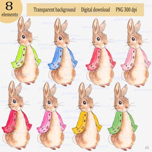 Flopsy Bunny in blouses of different colors, Peter Rabbit sublimation Clip Art, Beatrix Potter Art Image, easter Illustration, transparent