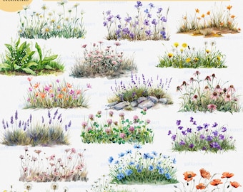 23 PNG watercolor nature clipart: wild flowers and grass, meadow herb border, plot of floral, botanical natural landscape