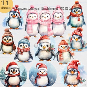 Pinguim de inverno de Natal com chapéu de Papai Noel Clipart PNG: Design de sublimação de Feliz Natal, pássaro com gorro de lã e cachecol, gráfico de aquarela da floresta