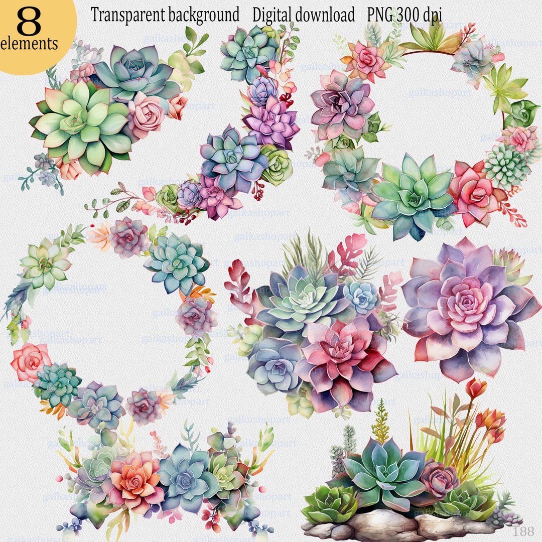 8 Watercolor Succulent Cliparts PNG, Floral Wreath Border, Greenery ...