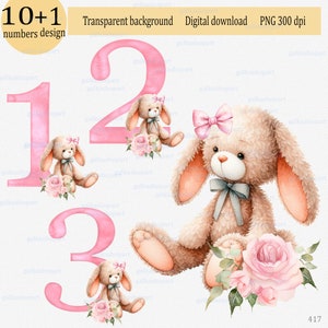 11 PNG files of birthday girl clipart: watercolor cute teddy bunny with pink rose and bow, individual numbers, party design
