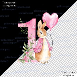 Watercolor Peter Rabbit birthday PNG clipart set with pink jacket bunny, heart balloon, greenery and floral number 1, 2 and 3 designs, shown on a baby bodysuit mockup.