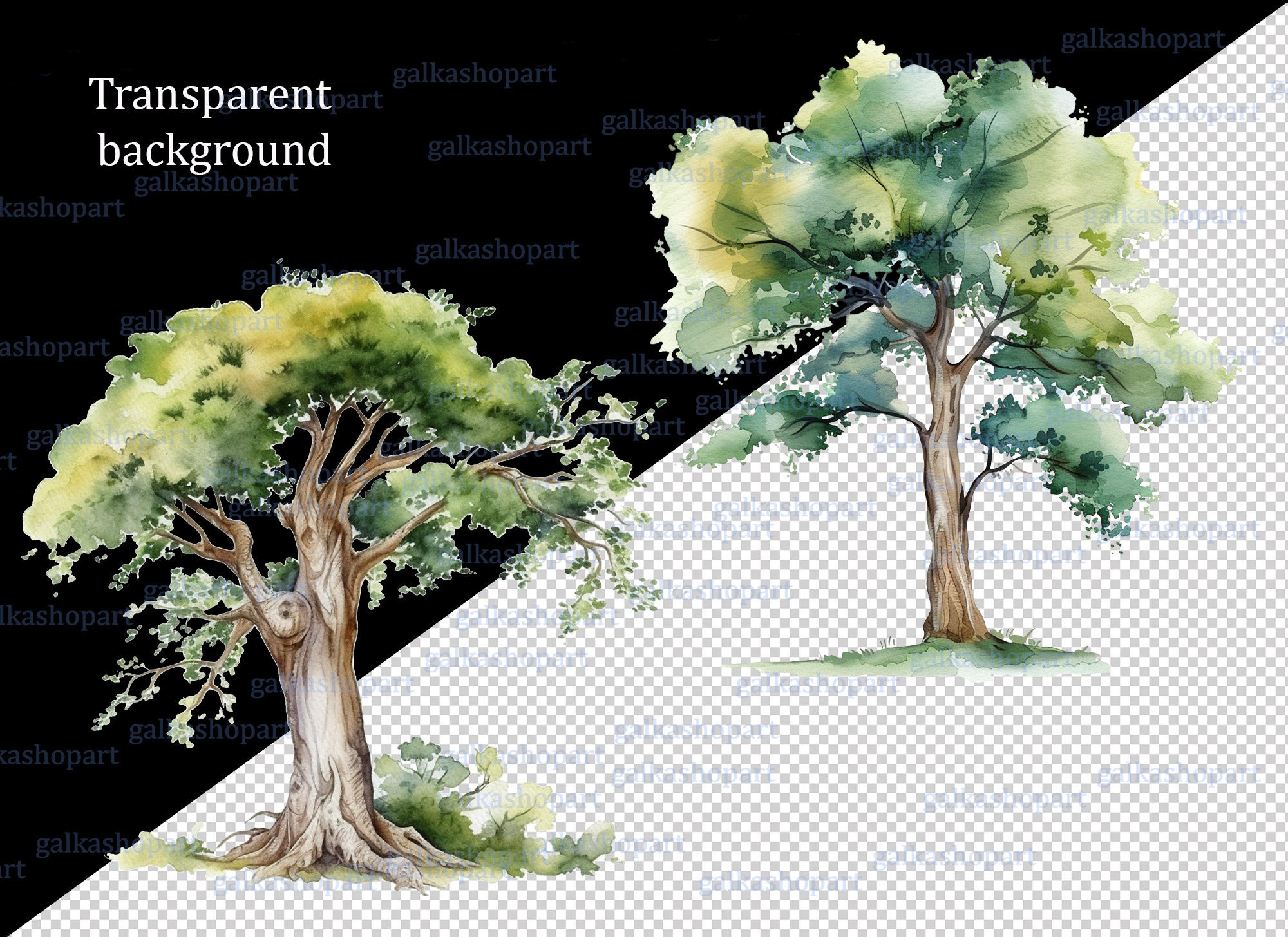 水彩画の漫画の森の落葉樹と葉のない木：シンプルな木のクリップアートPNG、単一の独立した緑の木、植物、自然、森林 - Etsy 日本, image size:2000x1455