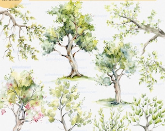 Watercolor Deciduous Trees and Forest Tree Branches and Bushes: Clipart Set, High-Quality PNG Images, Botanical Nature Light Green Woodland