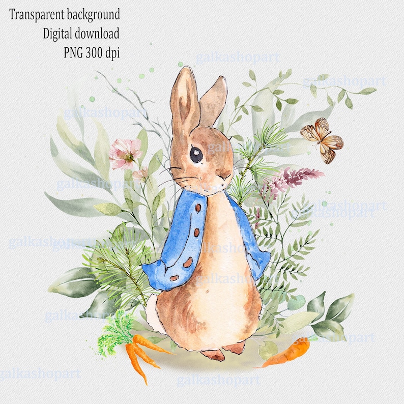 May include: Watercolor illustration of a brown rabbit wearing a blue jacket with white buttons, standing in a field of green leaves and flowers. There is a butterfly flying above the rabbit and carrots on the ground.