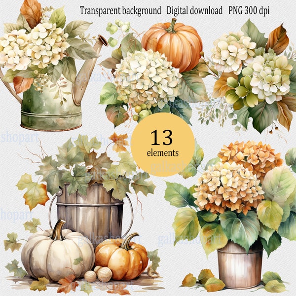 Set of 13 watercolor fall clipart PNG with hydrangeas dry flowers watering can & pumpkins: rustic autumn pictures, Floral farmhouse graphics