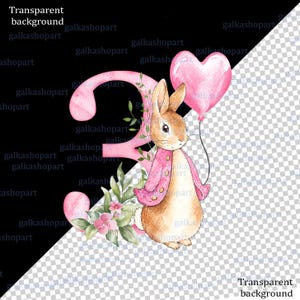 Watercolor Peter Rabbit birthday PNG clipart set with pink jacket bunny, heart balloon, greenery and floral number 1, 2 and 3 designs, shown on a baby bodysuit mockup.