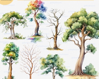 Watercolor cartoon forest deciduous and leafless trees: simple tree clipart PNG, single separate green tree, botanical, nature, woodland