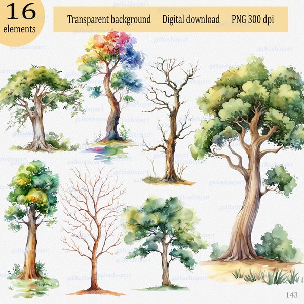 16 watercolor cartoon forest deciduous and leafless trees: simple tree clipart PNG, single separate green tree, botanical, nature, woodland