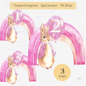 Flopsie Bunny, aquarell Peter Rabbit, rosa glitzernder Ballon, rosa glitzernder Hase, rosa glitzernder Ballon, Geburtstagsparty für Mädchen