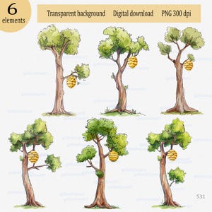 Albero alto estivo con alveare, clipart acquerello PNG, fiaba di Winnie the Pooh, albero deciduo della foresta per sublimazione e stampa di oggetti di scena per feste