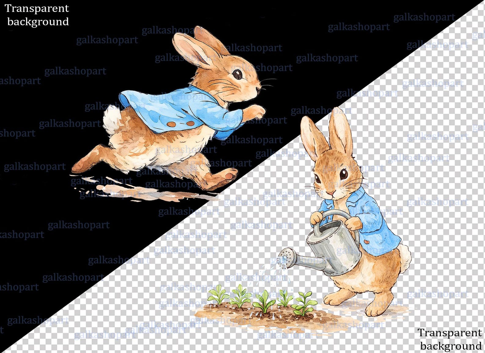 Peter Rabbit Watercolour Animation Peter Rabbit Clipart Bundle: 21 Watercolor Bunny Pngs, Storybook Garden ...