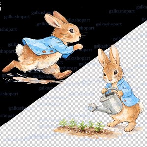 Peter Rabbit Clipart Bundle: 21 Watercolor Bunny Pngs, Storybook Garden ...